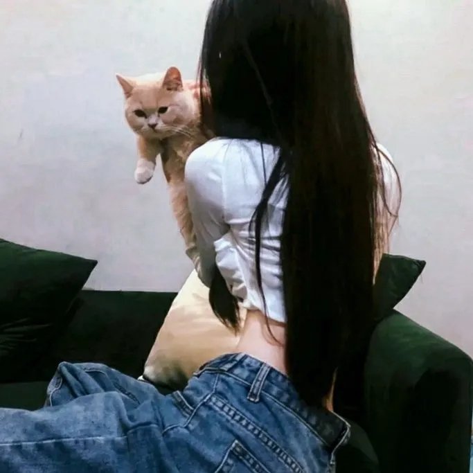 爱情、婚礼和婚姻