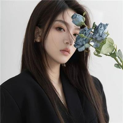 巴布与斯塔尔的维斯塔德尔玛之旅